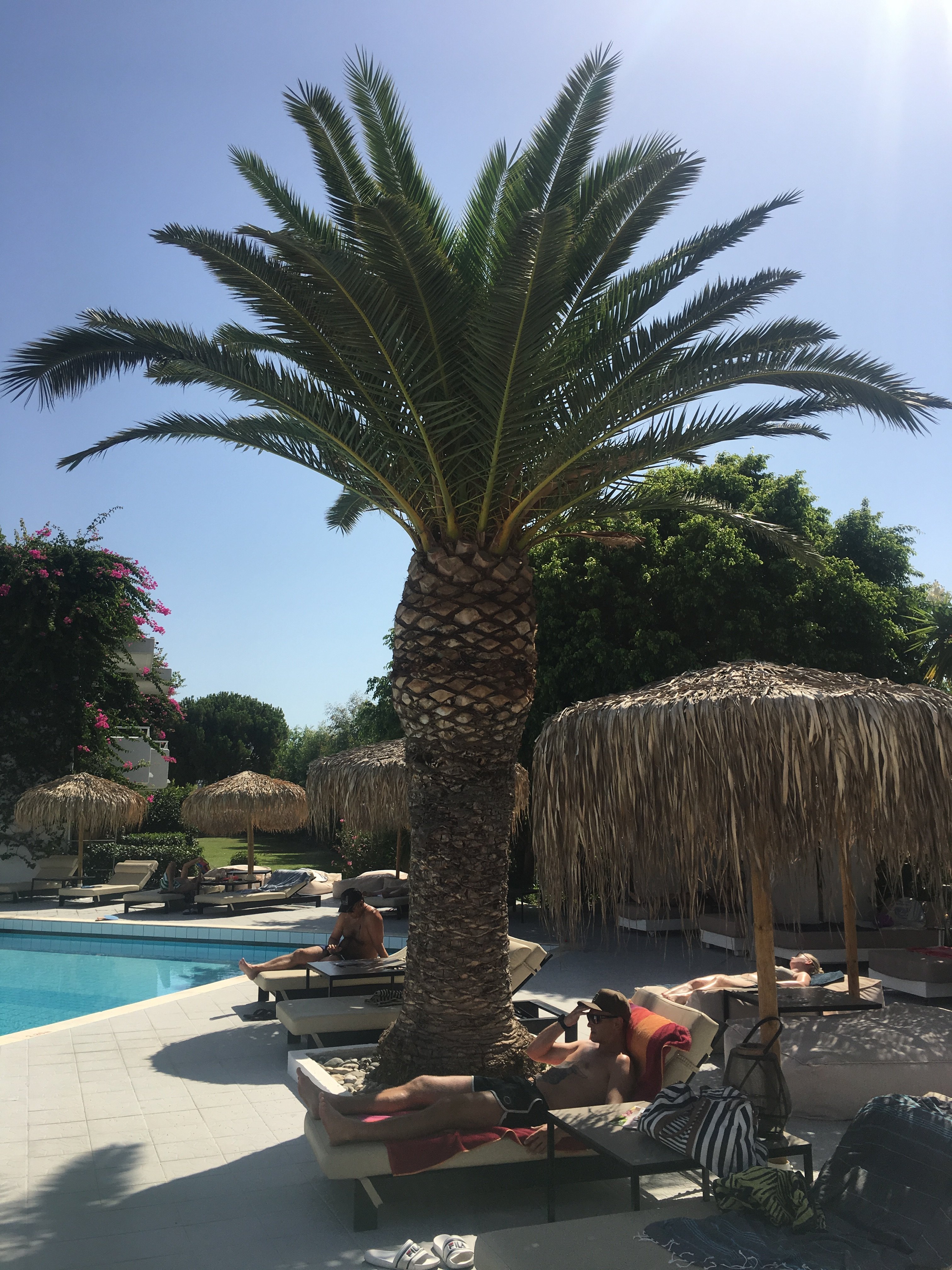 Golden Star Hotel Apartments-泳池