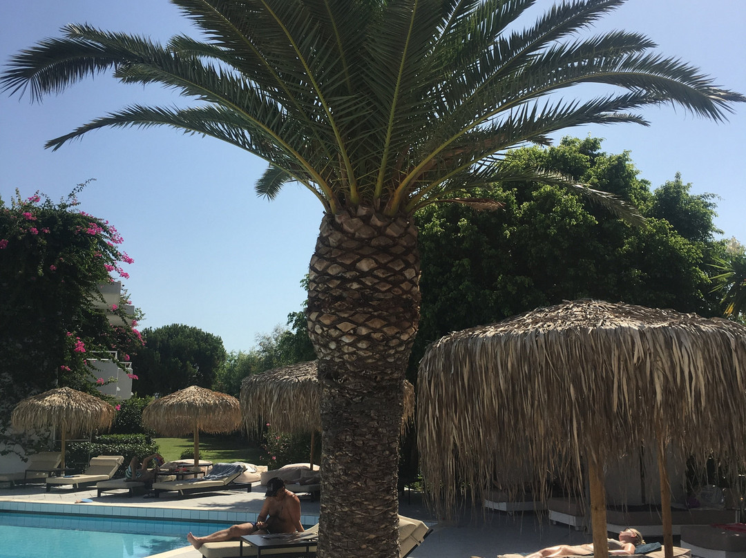 Golden Star Hotel Apartments主图