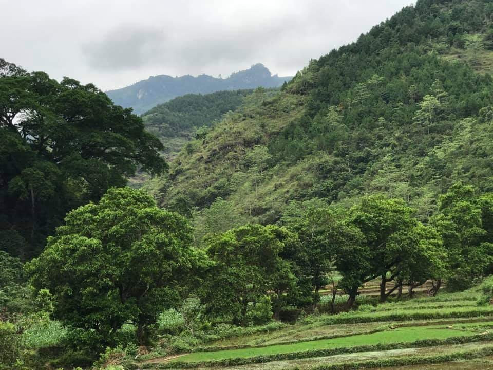 Trekking Ha Giang景点图片