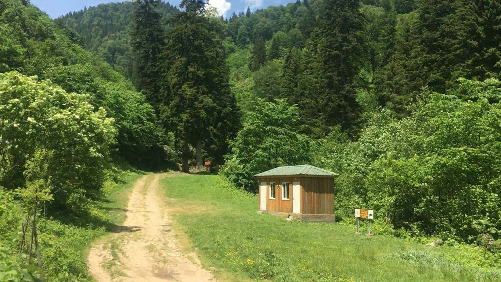 Orumcek Ormani Tabiati Koruma Alani景点图片