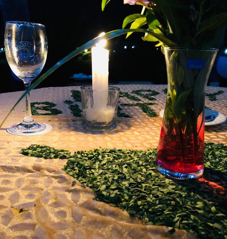 Treehouse Raj Mahal主图