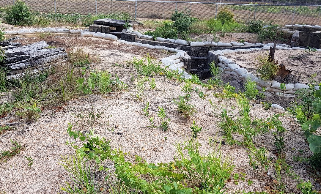 Gateway Torres Strait Resort主图