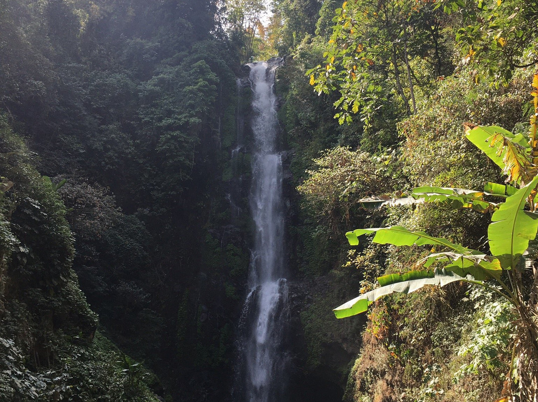 Aditya Homestay主图