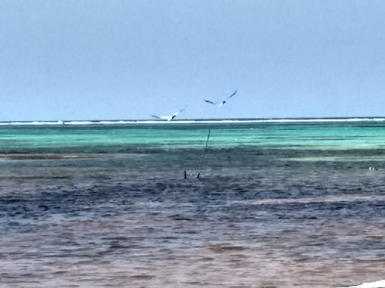 Costa De Cocos-Xcalak必去景点