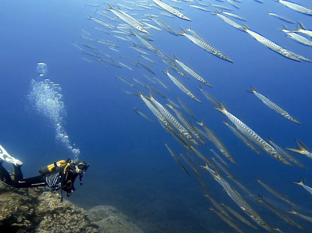 Mykonos Diving Center景点图片