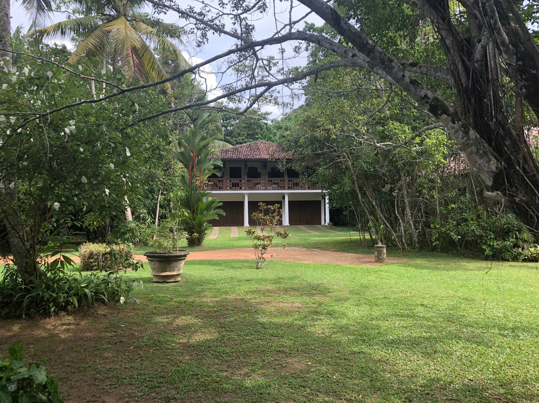 Nisala Arana Boutique Hotel主图