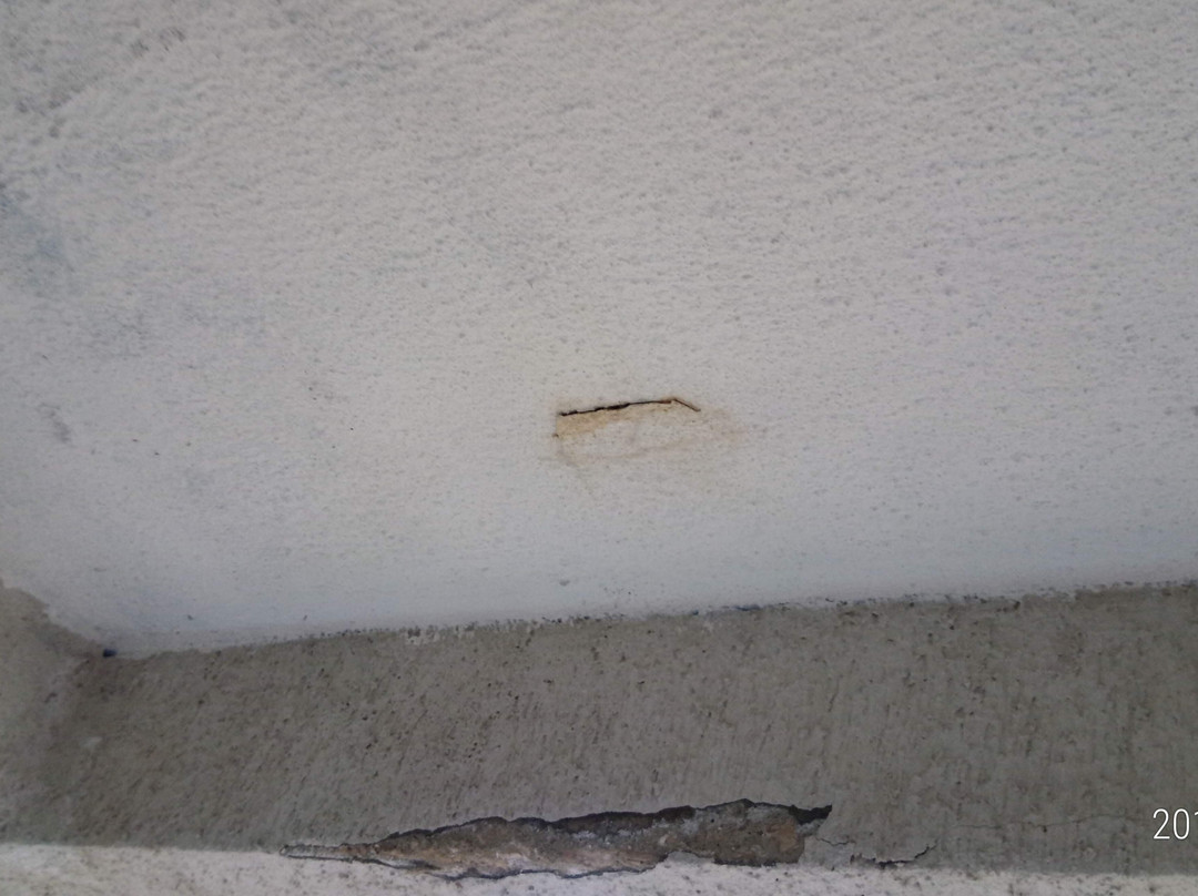 Hotel Orchidea主图