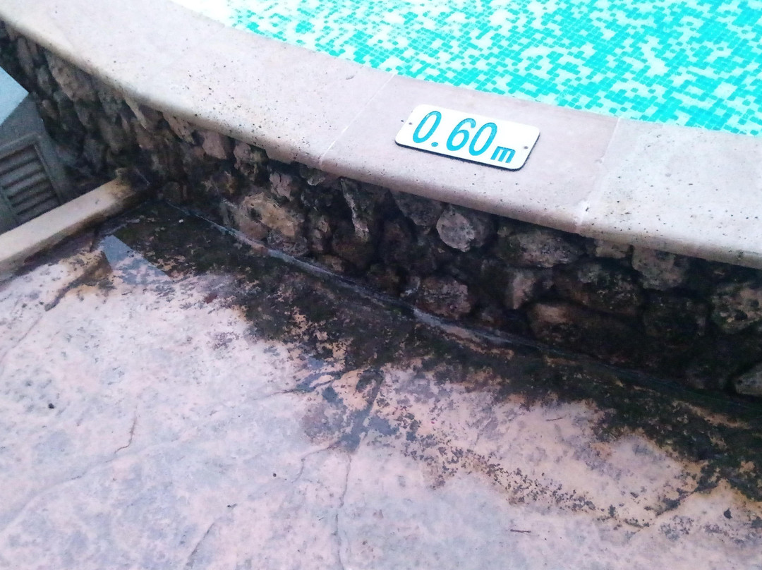 Hotel Orchidea主图