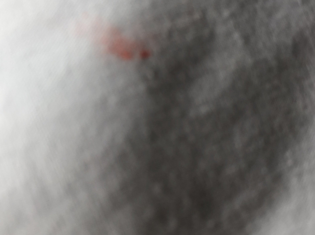 米欧精品酒店主图