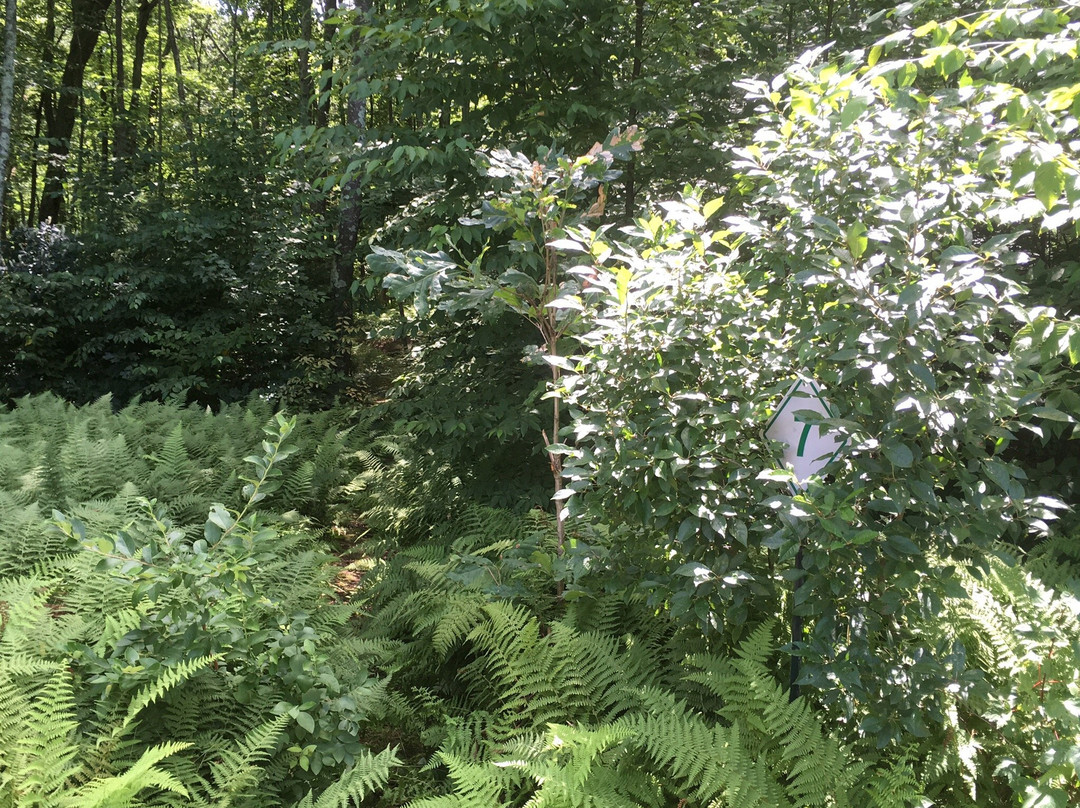 Snake Den State Park-Johnston必去景点