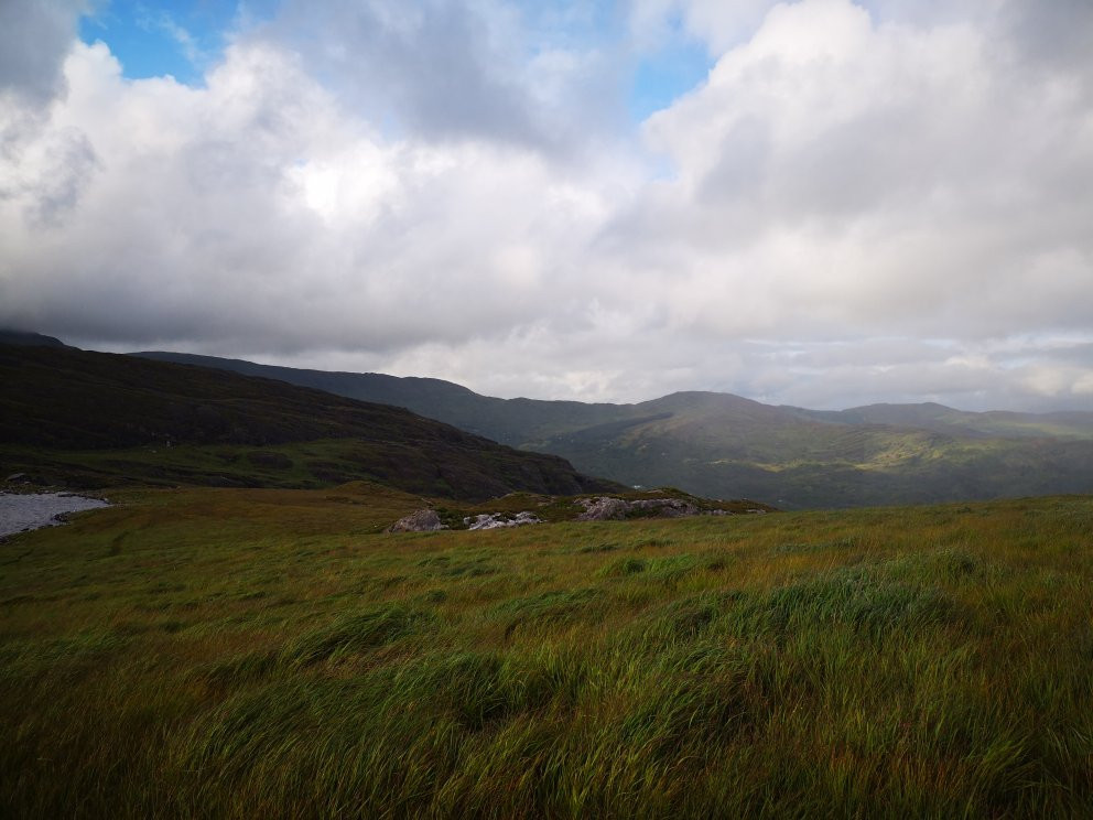 Glengarriff Nature Reserve-Glengarriff必去景点