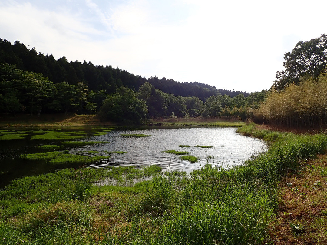 Kagurame Lake景点图片