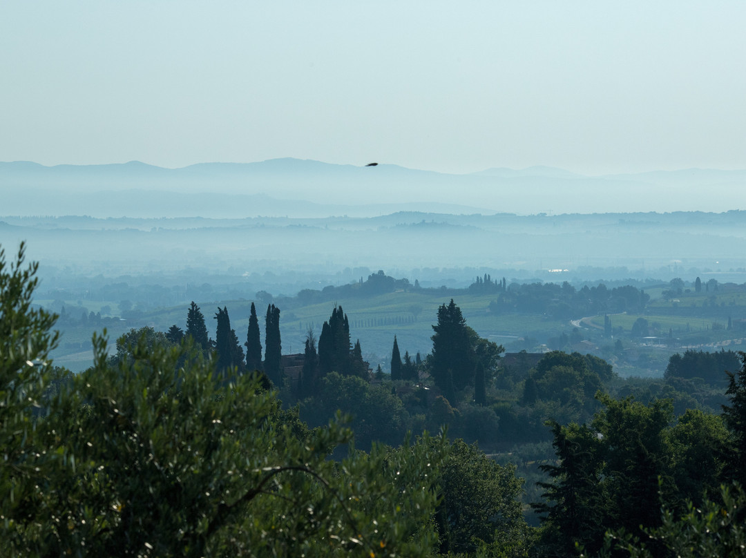 Villa Cicolina主图