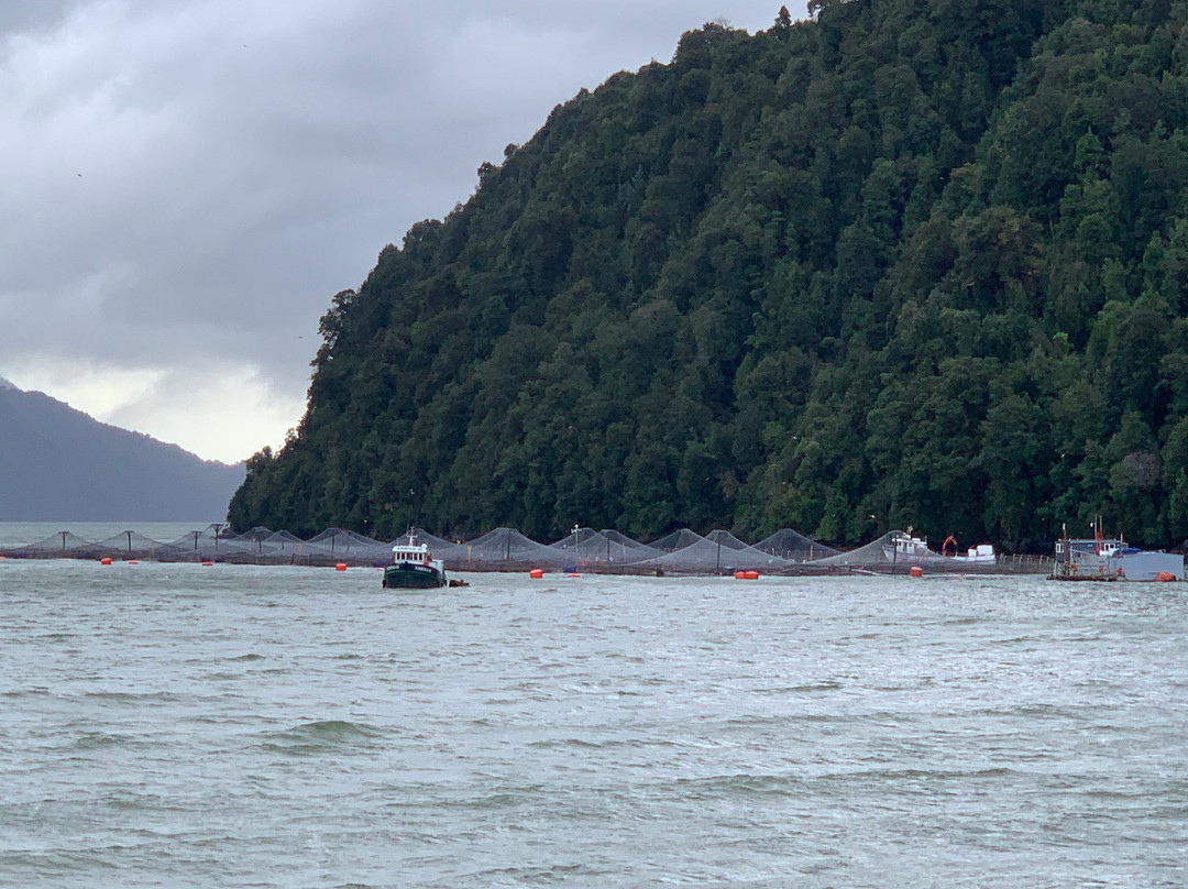 Hornopiren National Park旅游攻略图片