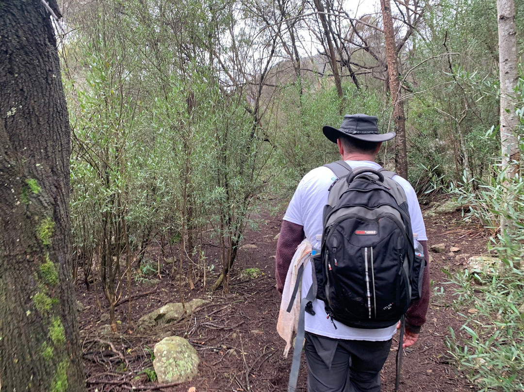Wallaby Walkabout Tours景点图片