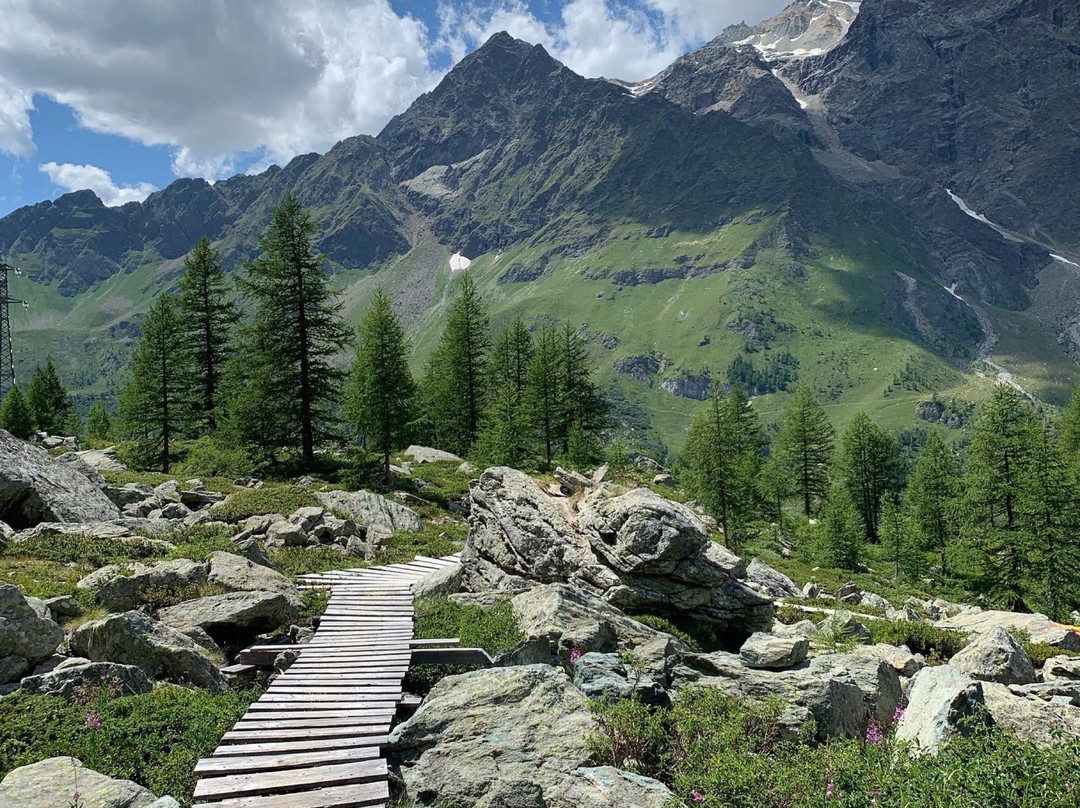 Bike Park del Cervino景点图片