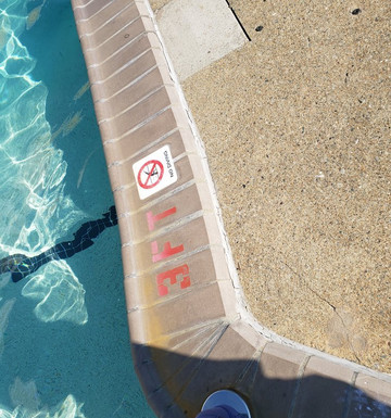 波士顿戴达姆费尔菲尔德客栈