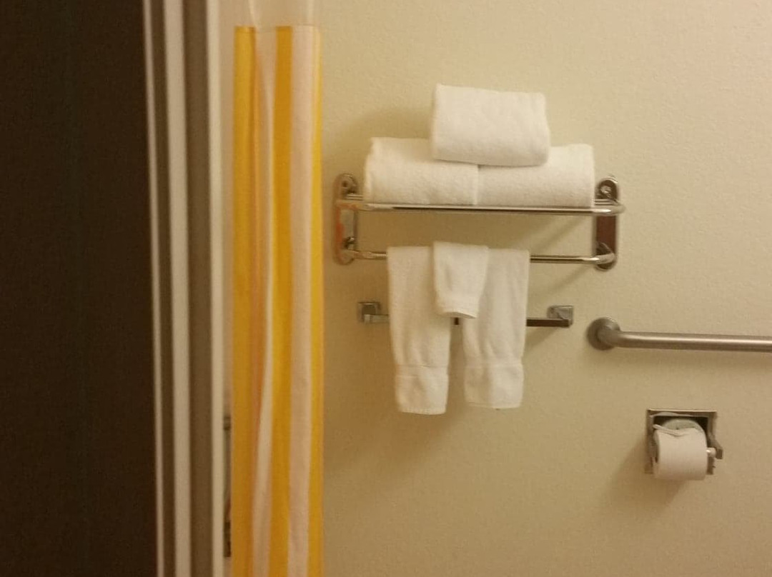 图莱利拉金塔旅馆及套房酒店主图