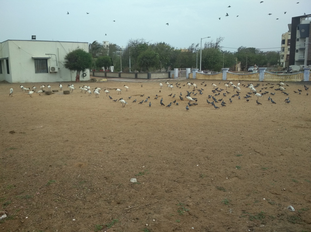 The Grand Dwarika主图