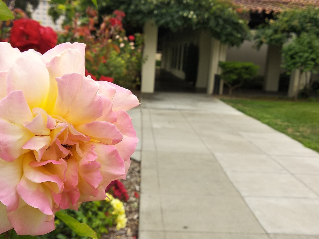 Santa Clara University-圣克拉拉必去景点