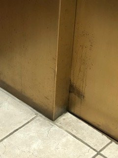 波士顿/沃尔瑟姆凯悦酒店主图