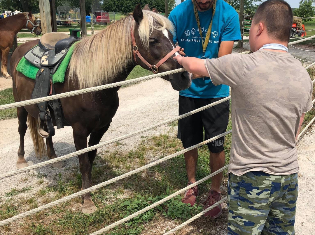 Green Meadows Petting Farm-Waterford必去景点
