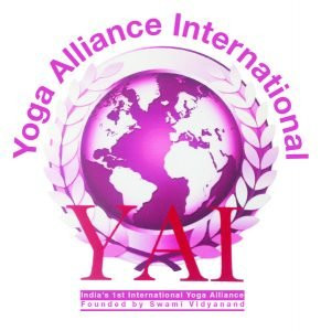 Yoga Dharma - Day Class景点图片