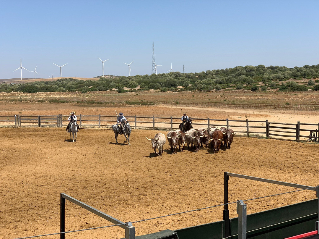A Campo Abierto景点图片
