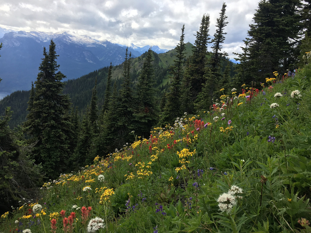 Idaho Peak Shuttle景点图片