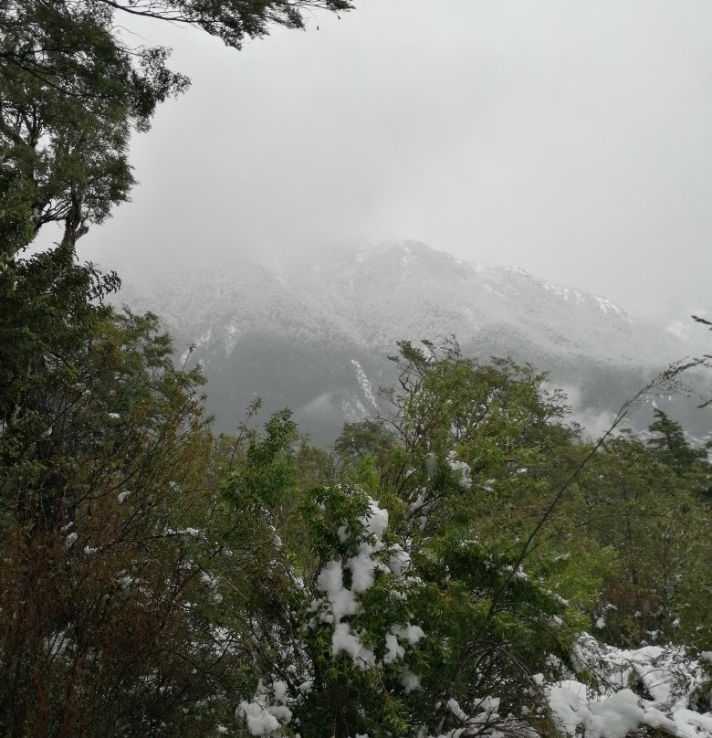 Sendero Paso Desolacion景点图片