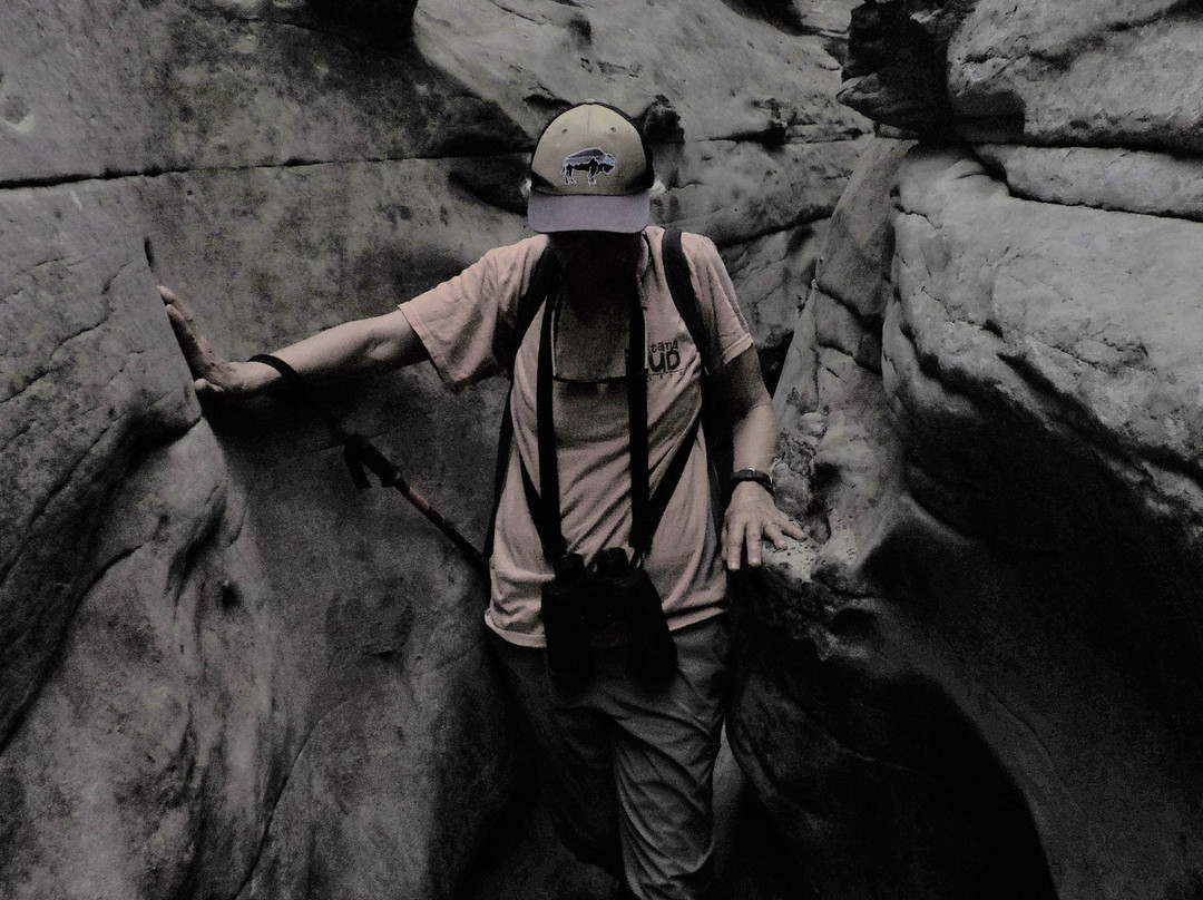 White Cliffs景点图片