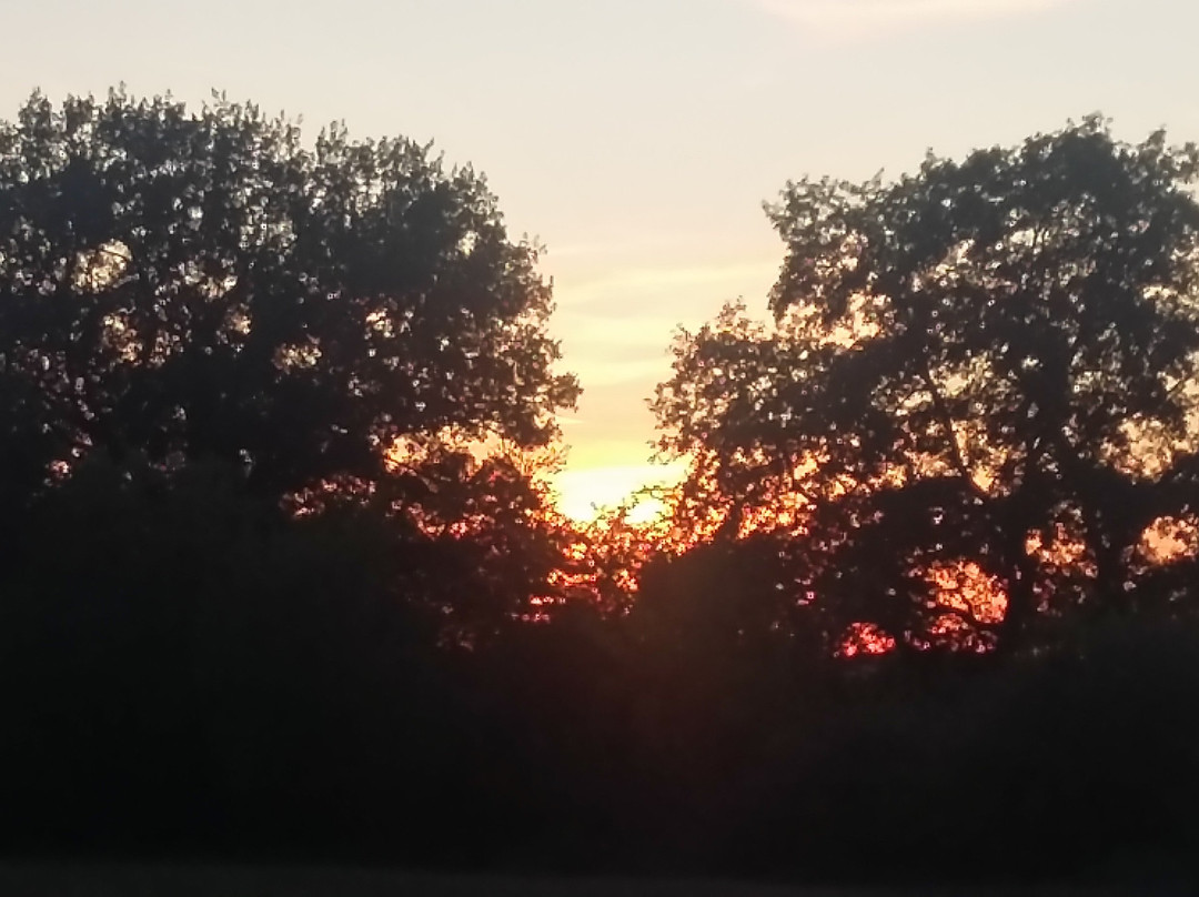 Domaine de Granval主图