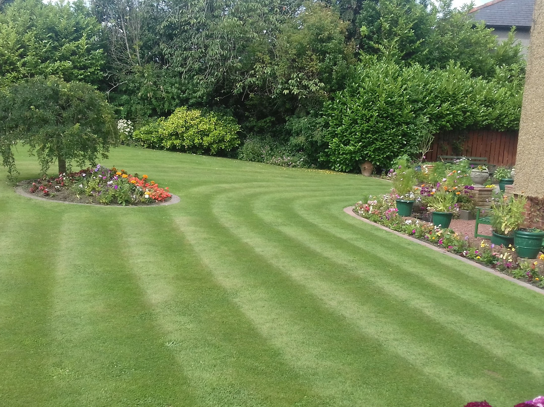 瑞恩姆赛德住宿加早餐旅馆主图