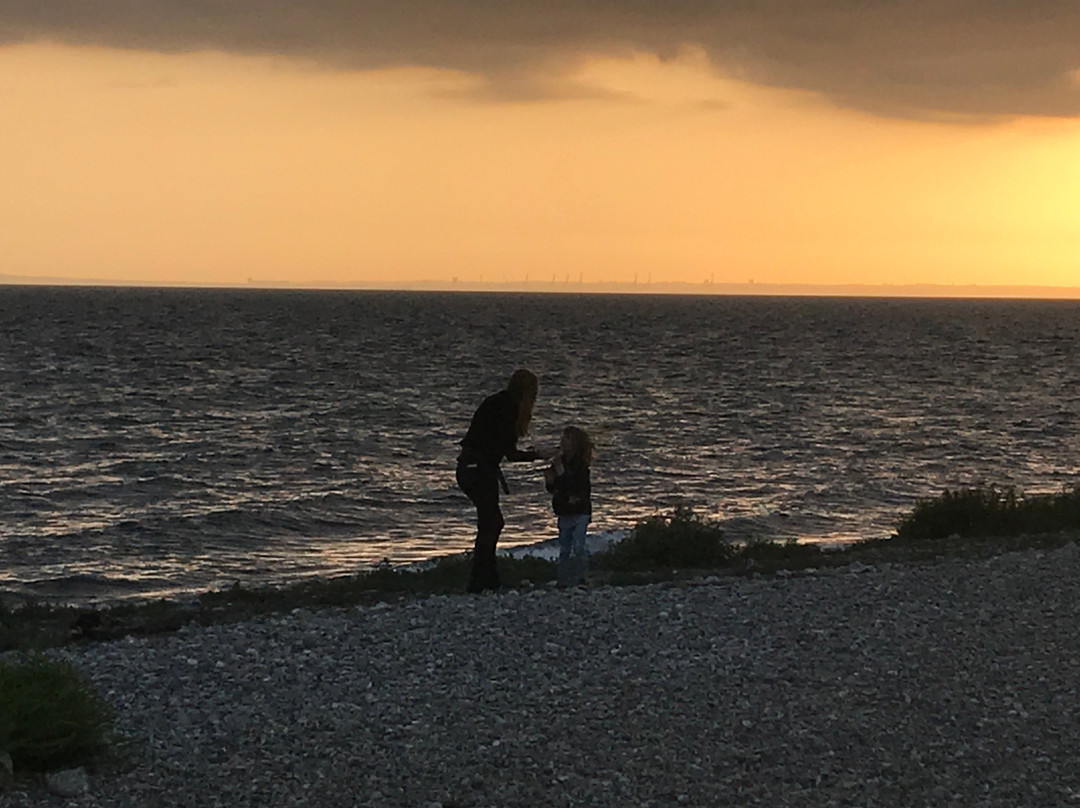 Sølystgaard Camping