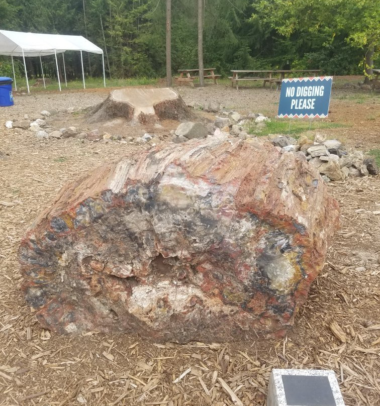 Rice NW Museum of Rocks and Minerals-希尔斯伯勒必去景点