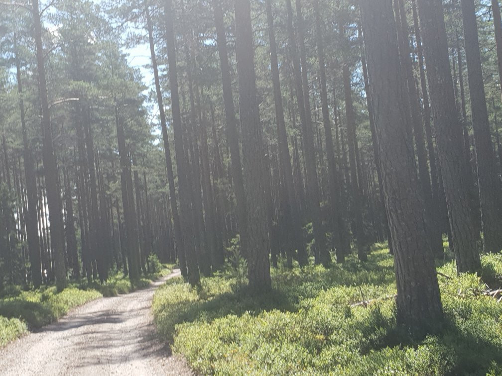 Bo Camping og Hyttegrend主图