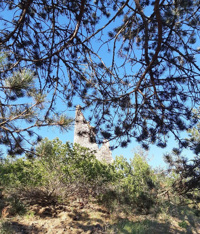 Château de Montrognon景点图片