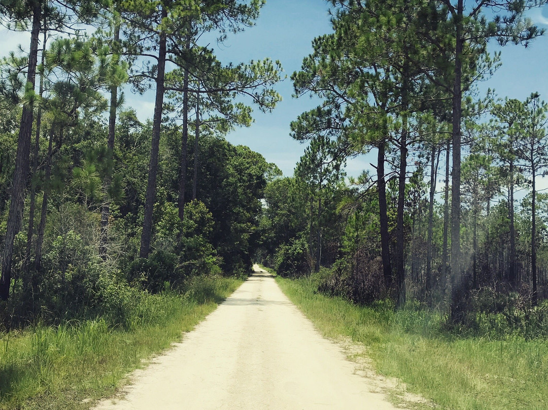 Chassahowitzka National Wildlife Refuge-克里斯特尔里弗必去景点