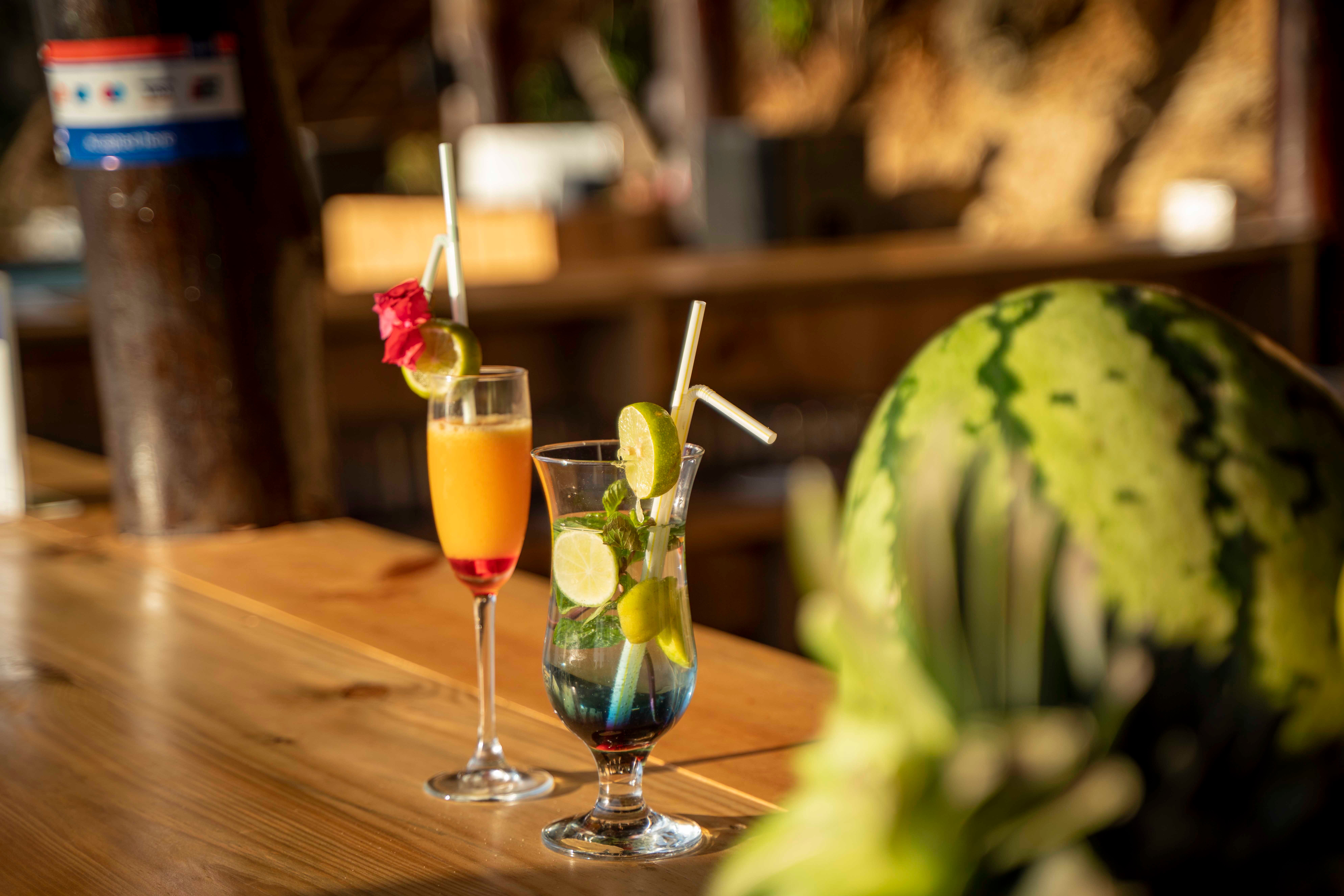 Jungle Paradise Resort & Spa-官方