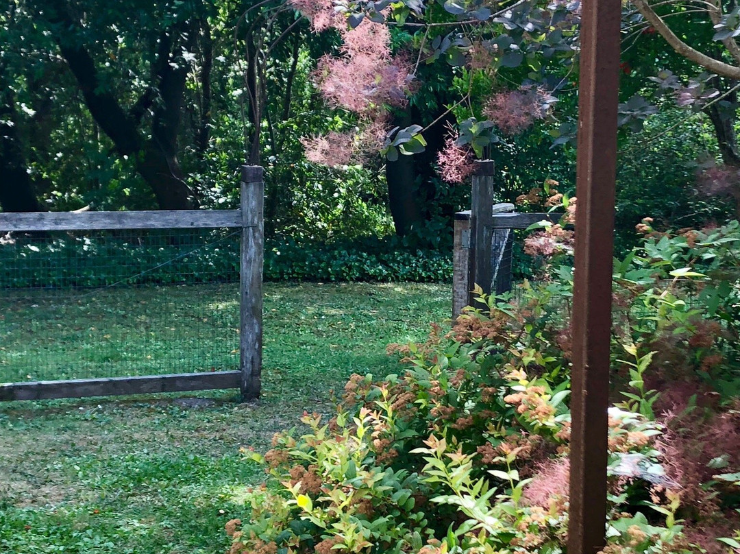 Boonville Hotel主图