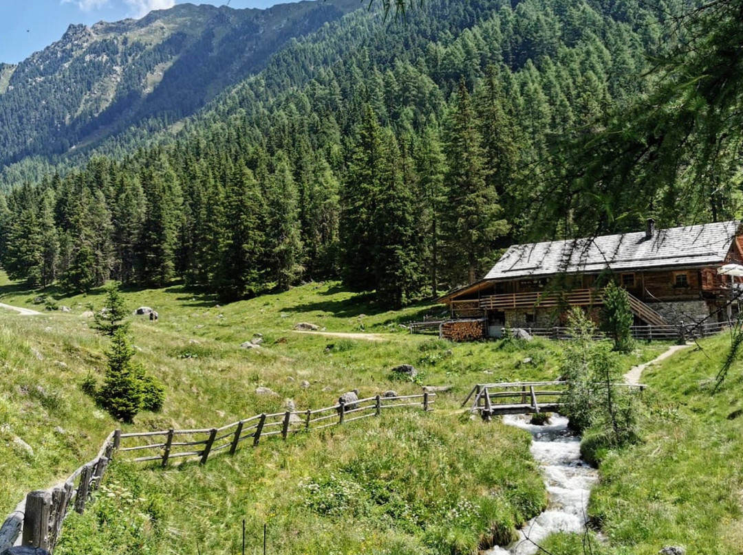 LercherAlm Oberwielenbach-Perca必去景点