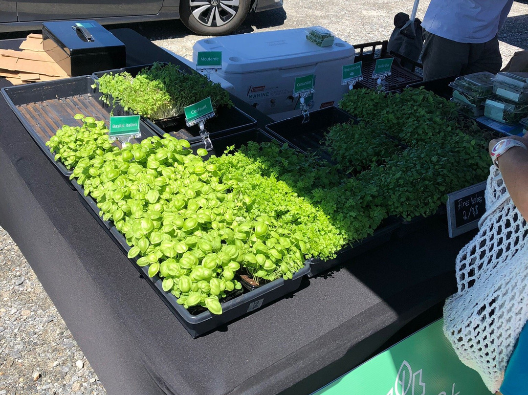 Marché public de Magog-梅戈格必去景点