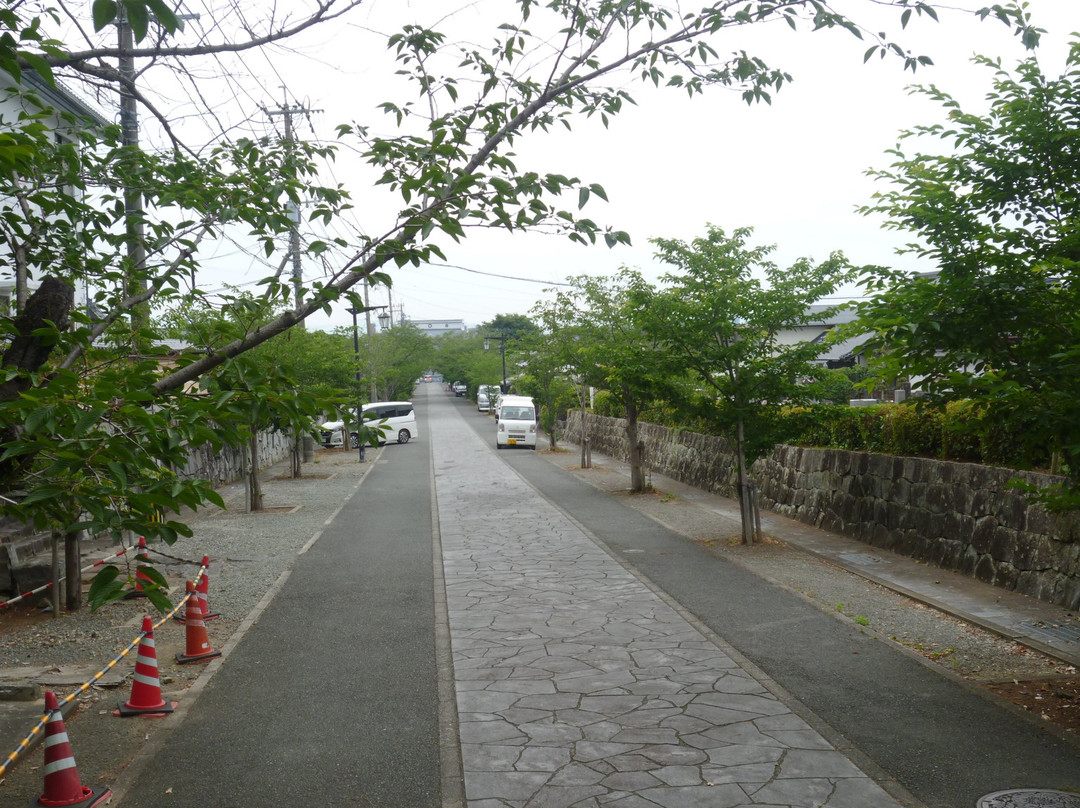 Honmyoji Temple景点图片