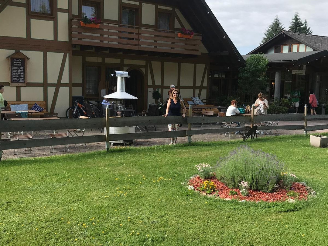 Schwarzwaldpark Hotel主图