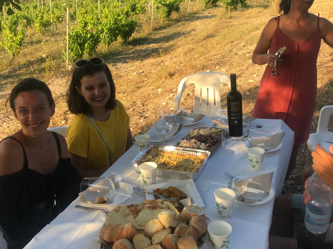 Cantina Sorres-Sennori必去景点