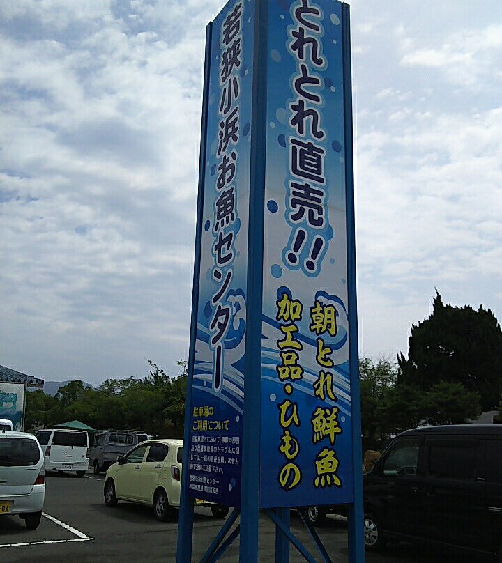 Wakasa Obama Fish Center景点图片