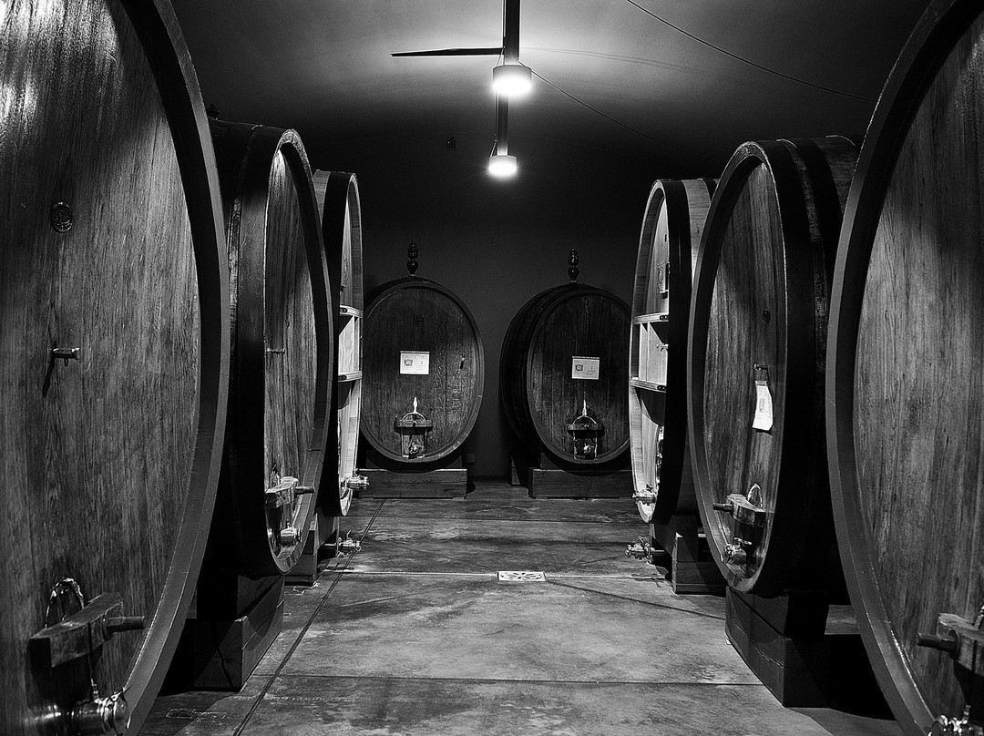 Santa Margherita Tenimenti Toscani-格雷韦伊恩基亚恩蒂必去景点