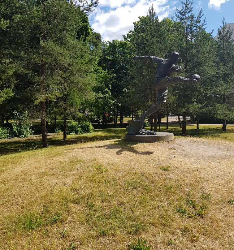 Monument to Vsevolod Bobrov景点图片