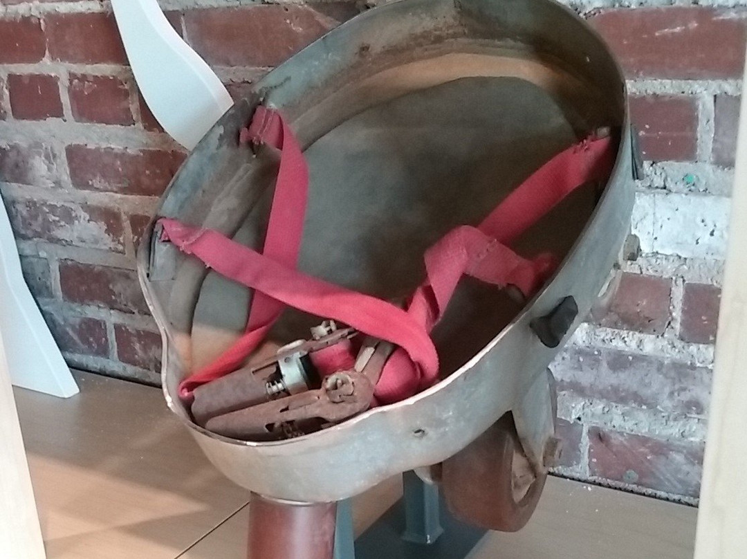 The Elephant Discovery Center-Hohenwald必去景点