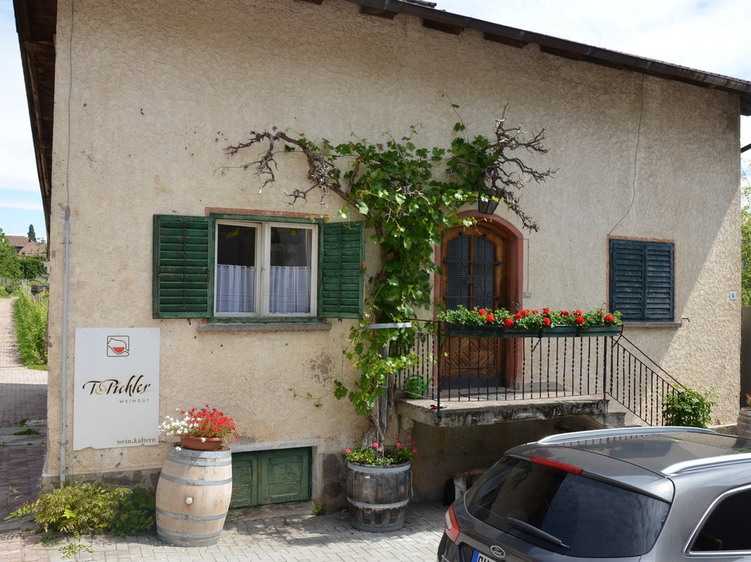 Azienda Vinicola T. Pichler景点图片